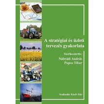 A stratégiai és üzleti tervezés gyakorlata