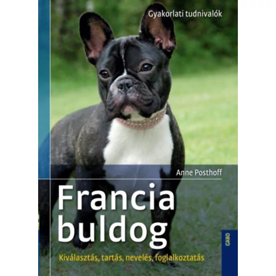 Francia buldog