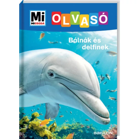 Bálnák és delfinek