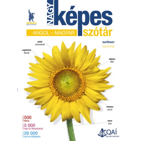 Nagy képes angol-magyar szótár