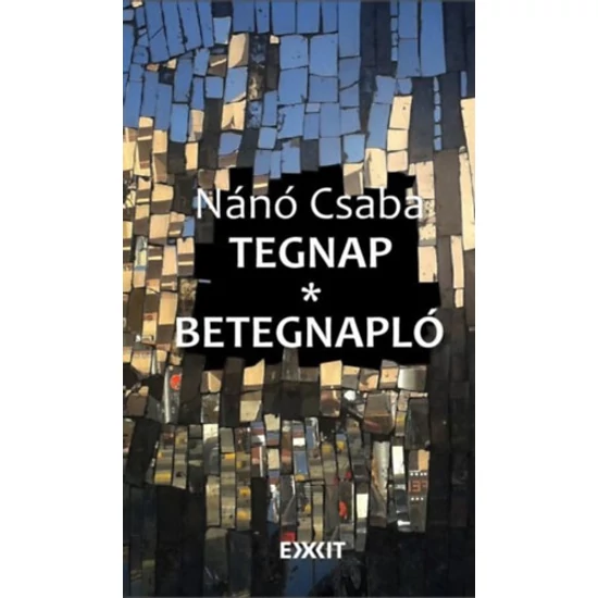 Tegnap - Betegnapló