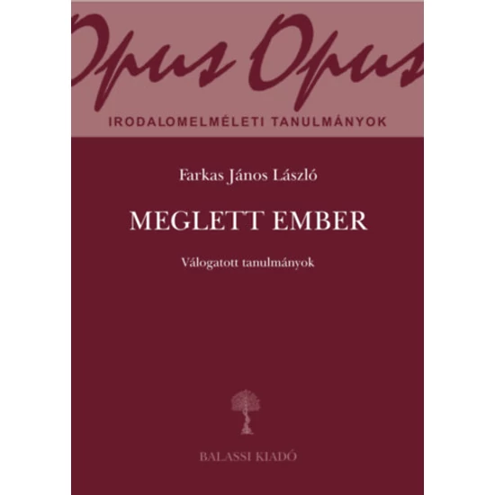 Meglett ember