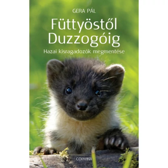 Füttyöstől Duzzogóig