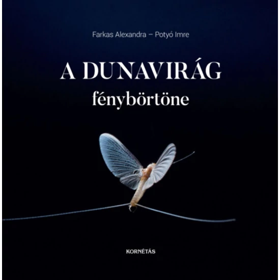 A Dunavirág fénybörtöne