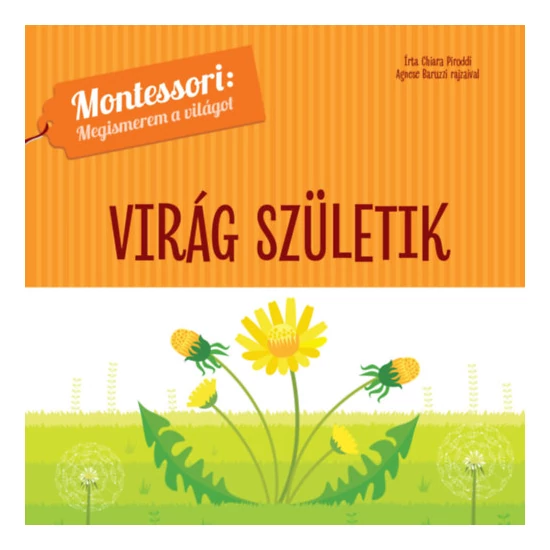 Virág születik