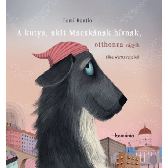 A kutya, akit Macskának hívnak, otthonra vágyik