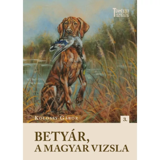 Betyár, a magyar vizsla