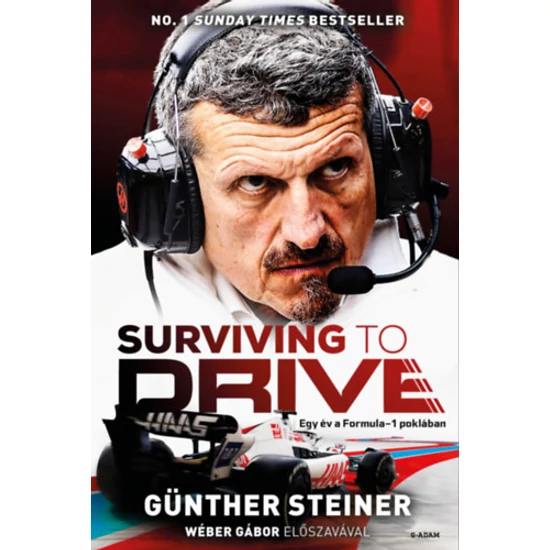 Surviving to Drive