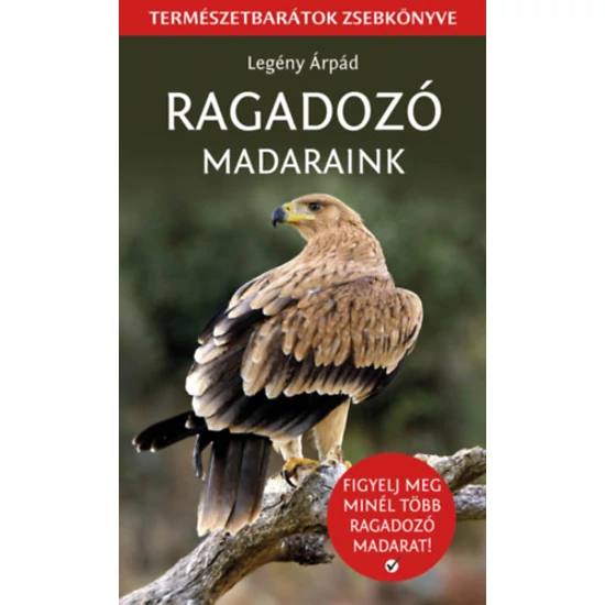 Ragadozó madaraink