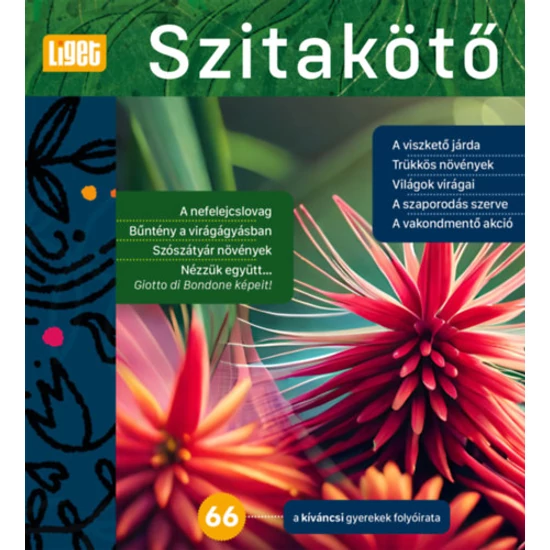 Szitakötő 2024/66.