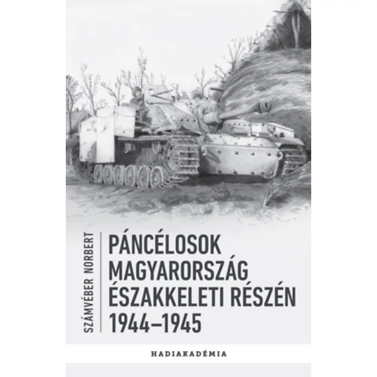Páncélosok Magyarország északkeleti részén - 1944-1945