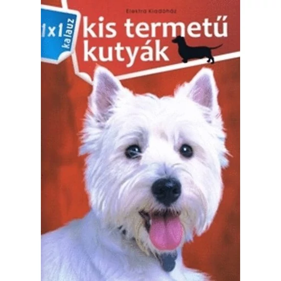 Kis termetű kutyák 