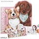 Depesche: TopModel - Doggy Kifestőkönyv Figurális KITTY és DOGGY 12714