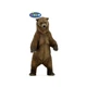 Papo - Grizzly medve figura - 50153