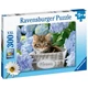 Ravensburger - Puzzle 300 db - Kicsi cicák